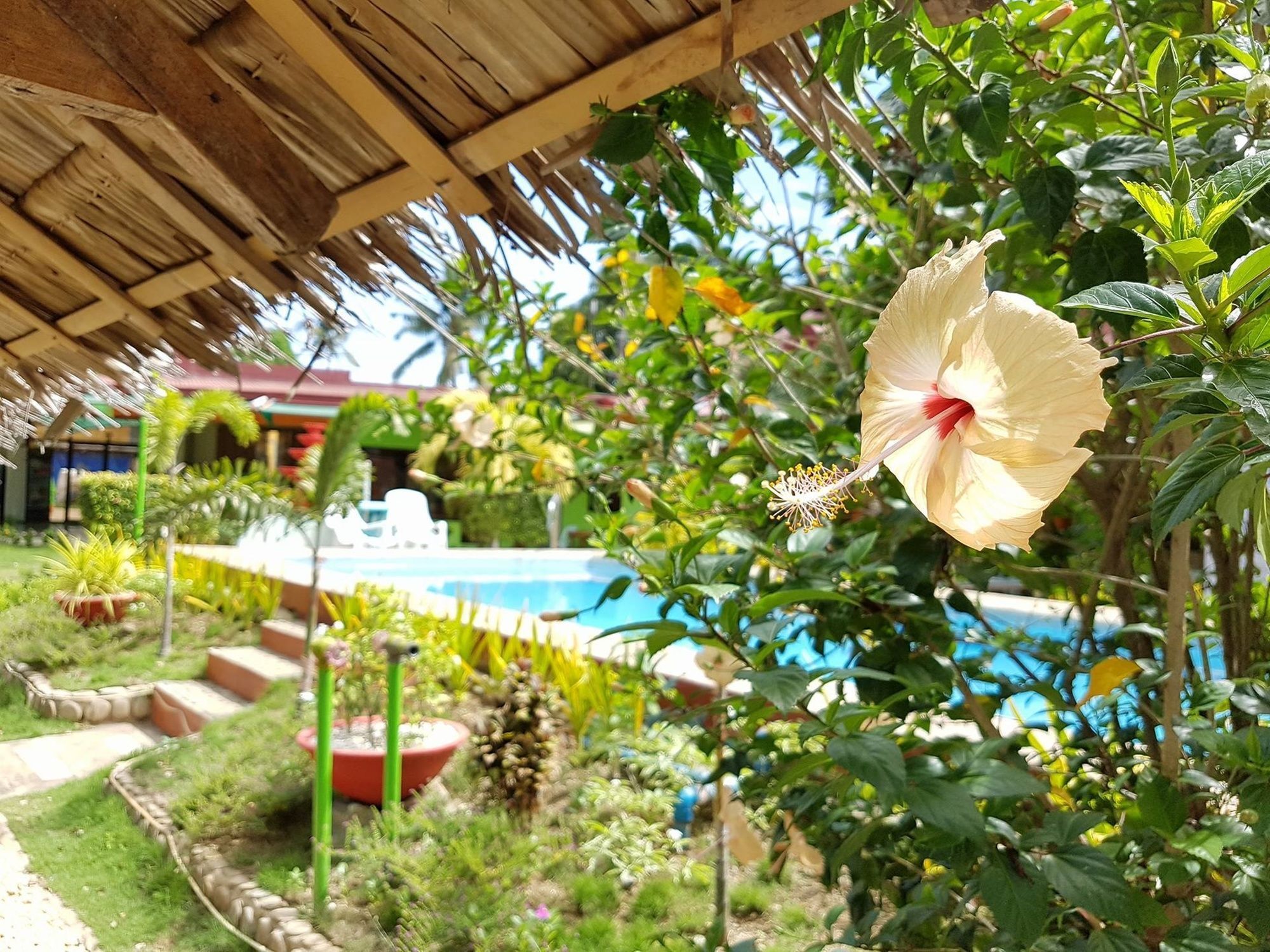 Green Park Tourist Inn Puerto Princesa ภายนอก รูปภาพ